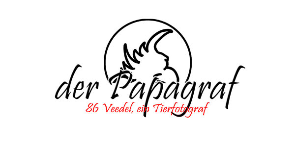 Logo Papagraf